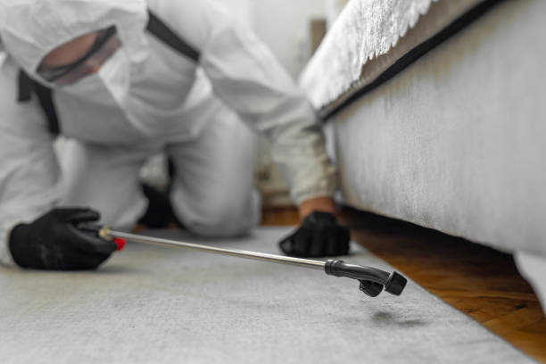 Professional Bed Bug Control technician working in Hayward, WI