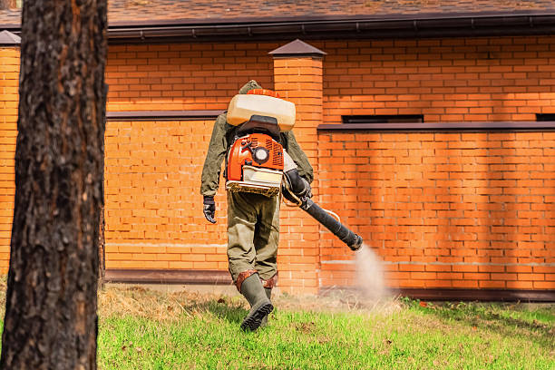 Trusted Termite Control service in Hayward, WI - Nex Pest Control